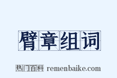 臂章组词是什么意思的图片